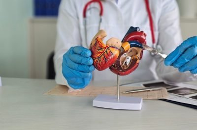 WhatsApp Image 2026-01-08 at 5.38.51 PM (1)